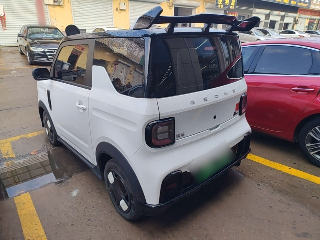 2024 200km Panda photo 4