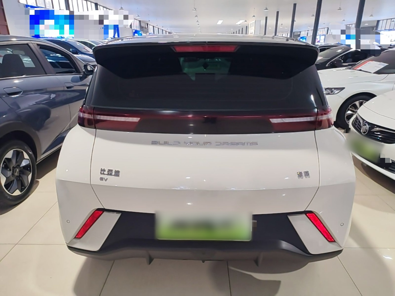 Seagull 2024 Honor 305km photo 5