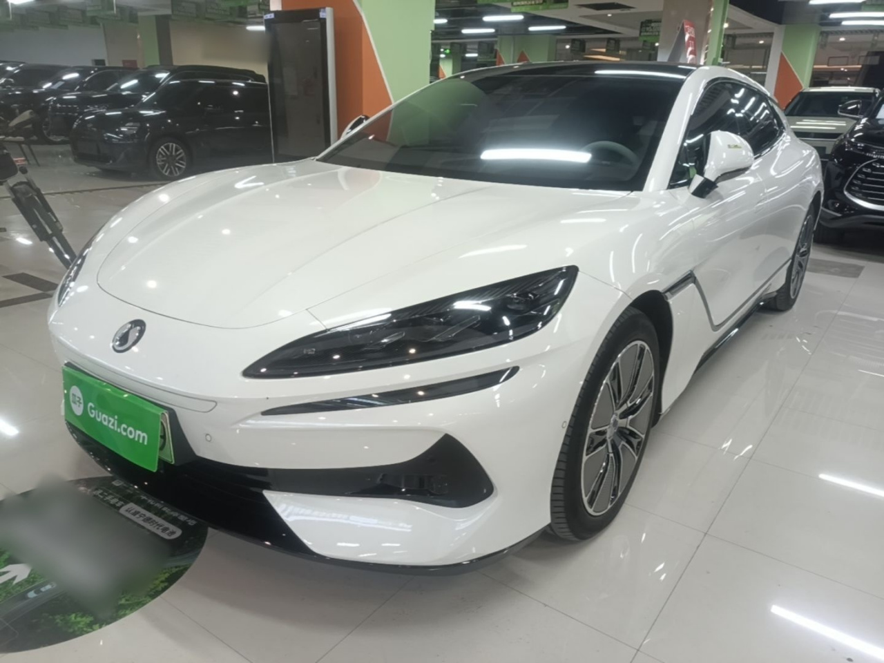Z9GT 2024 1100 AWD Max
