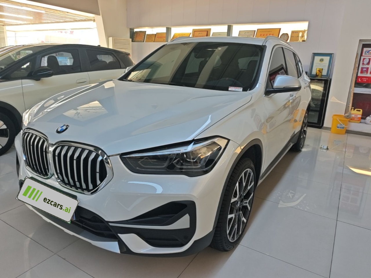 X1 2021 xDrive25Li Exclusive