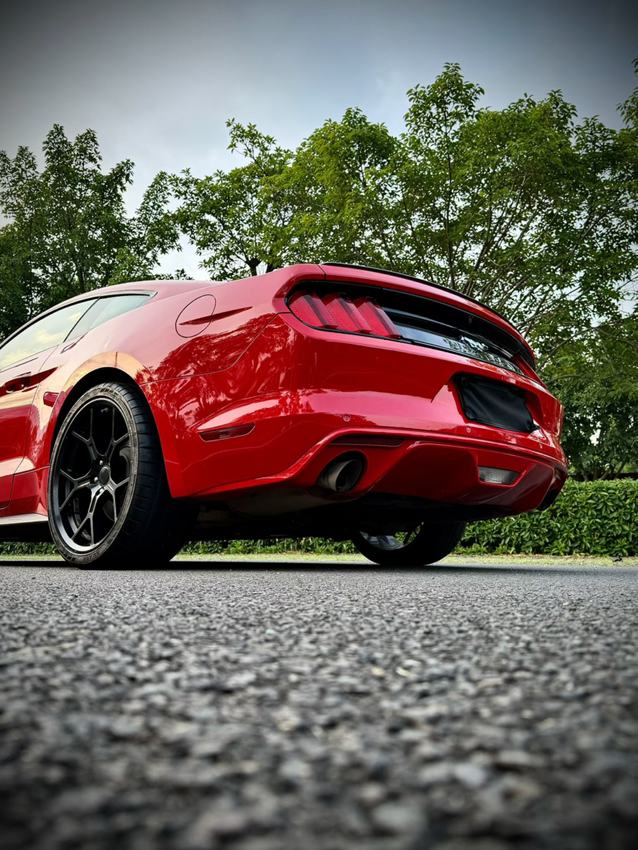 Mustang Parallel Import photo 4
