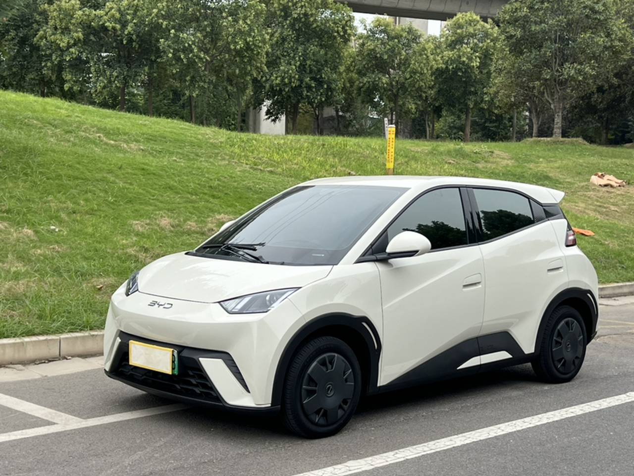 Seagull 2025 305km