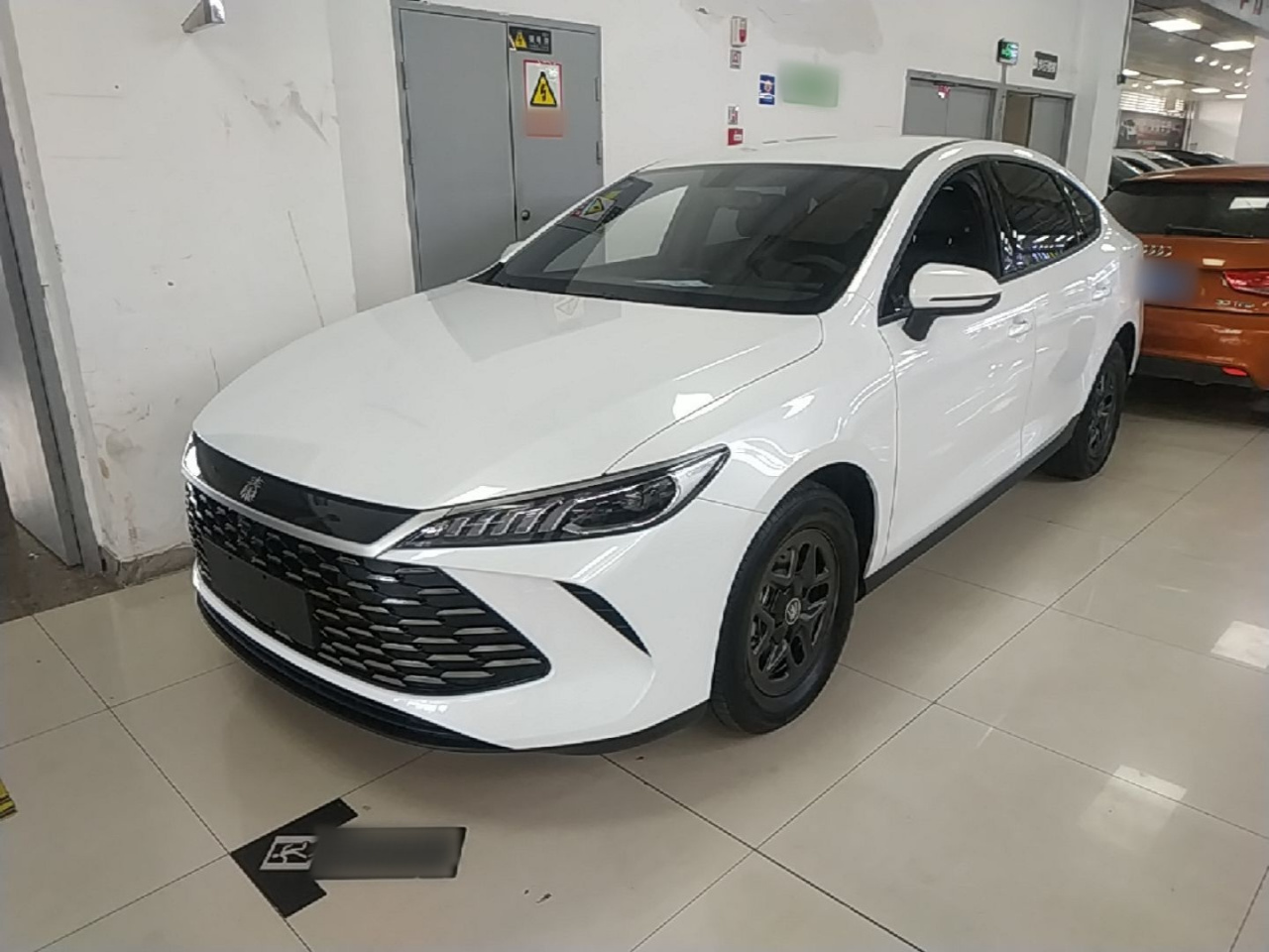 Qin PLUS 2025 DM-i ADAS 55KM Leading