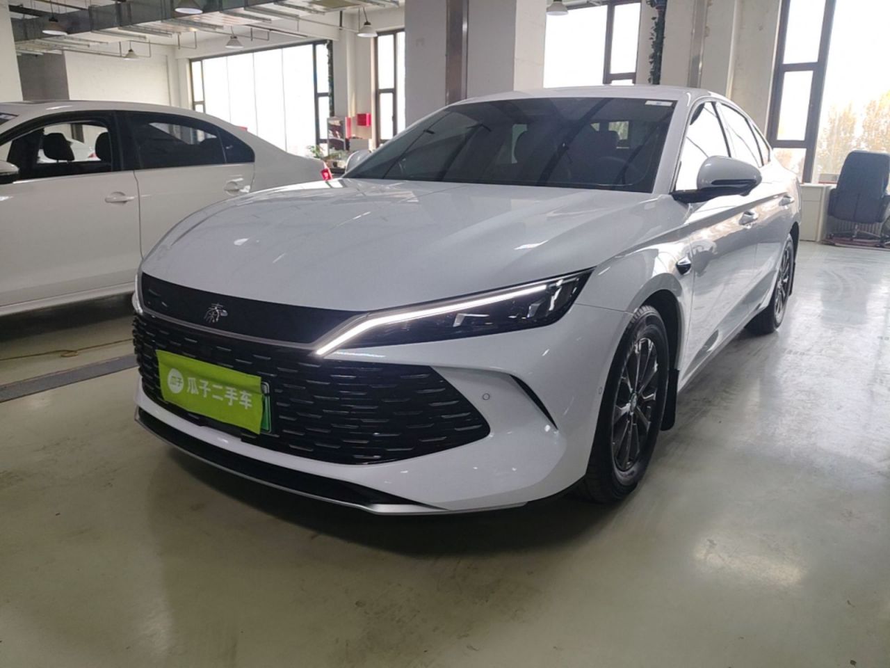 Qin L 2025 DM-i ADAS 80KM Leading
