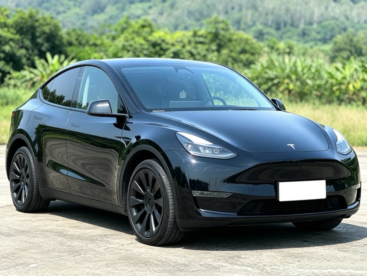 Model Y 2021 Long Range AWD 3D7 photo 4