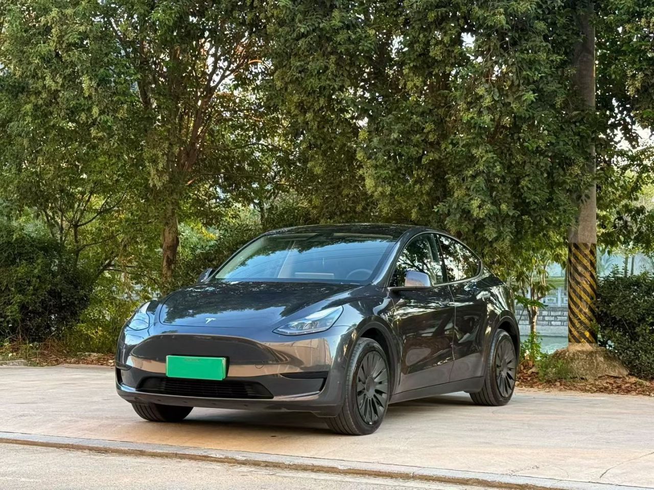 Model Y 2024 RWD