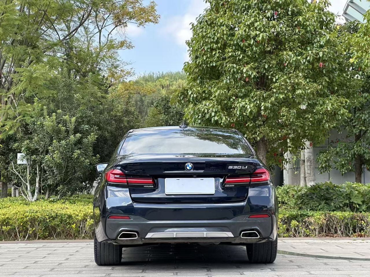 5 Series 2021 530Li Leading M Sport Package photo 5