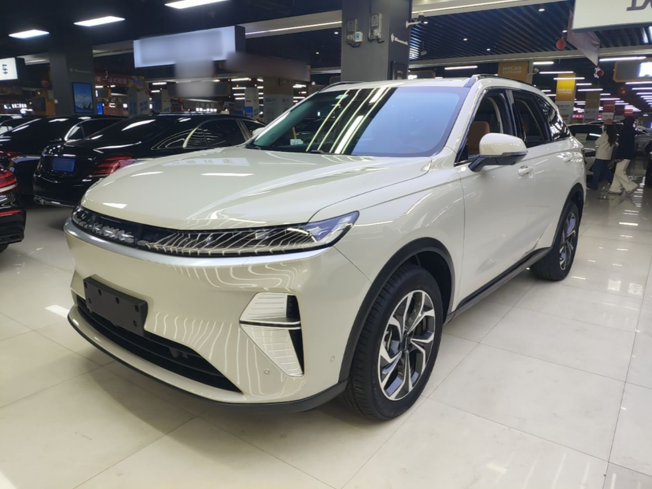 MAX 2025 Hi4 165 Ultra ADAS