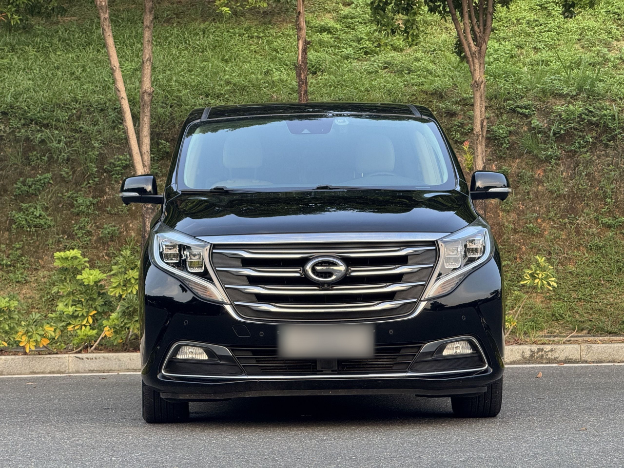 GAC Trumpchi M8 2018 320T Flagship photo 4