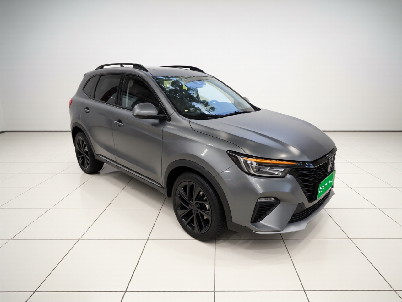 RX5 EV 2020 ePLUS Flagship photo 3