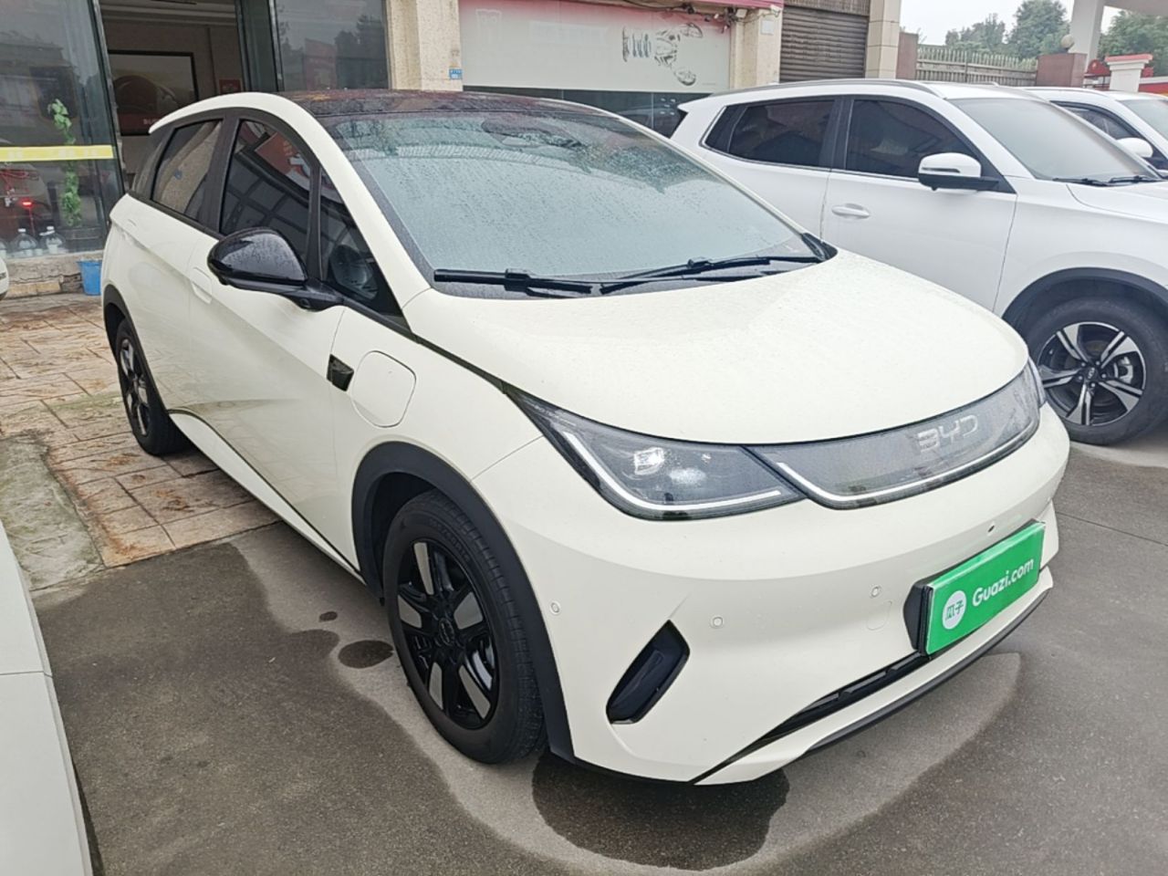 Dolphin 2025 ADAS 410km Fashion photo 3