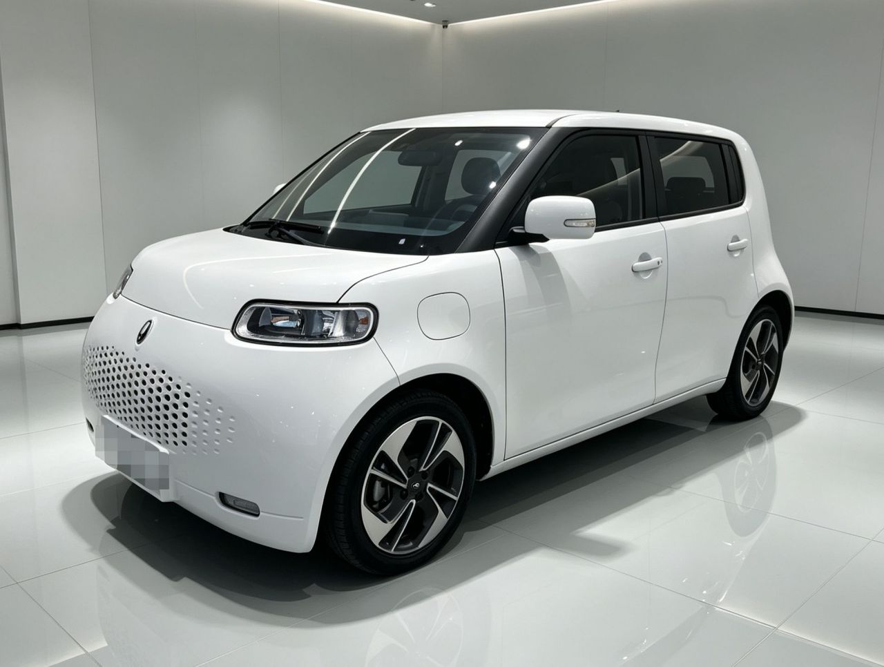 2020 305km Luxury