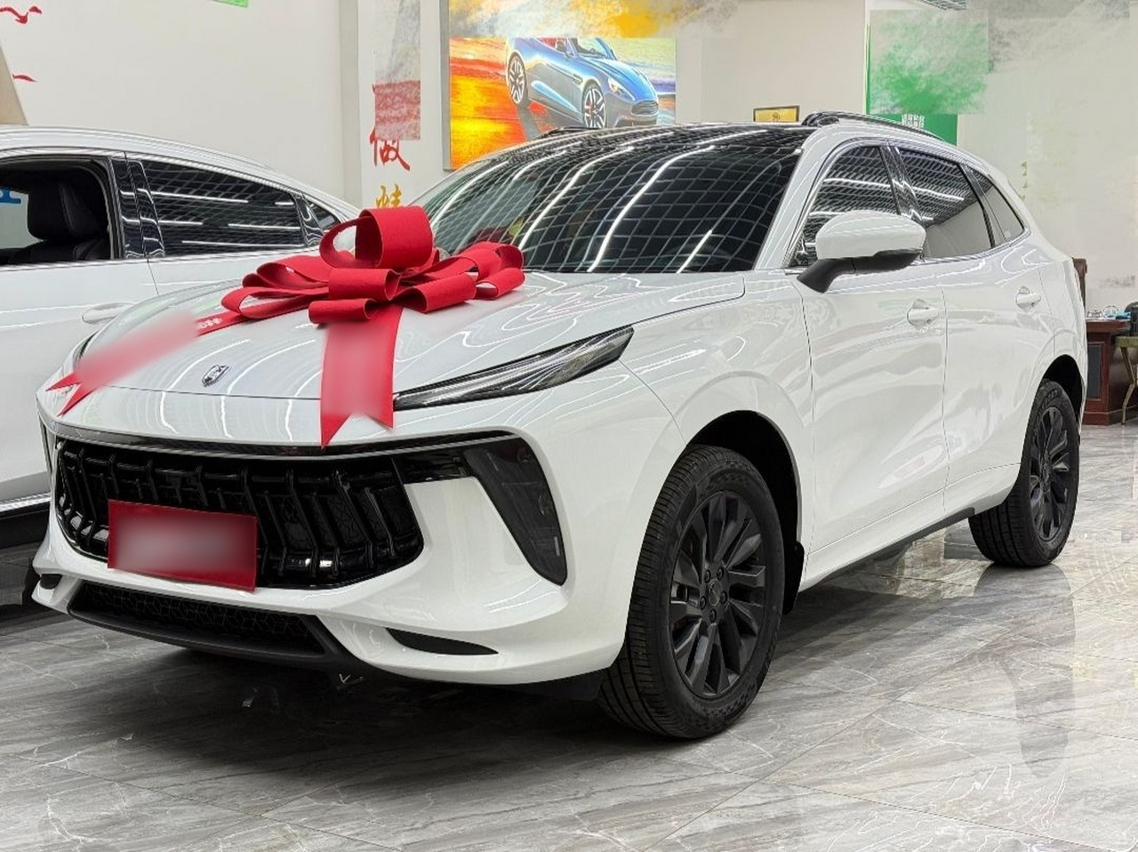Forthing T5 EVO 2021 1.5TD DCT photo 3