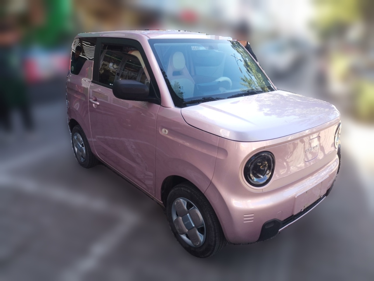 2023 Panda mini 200km Endurance Bear photo 3