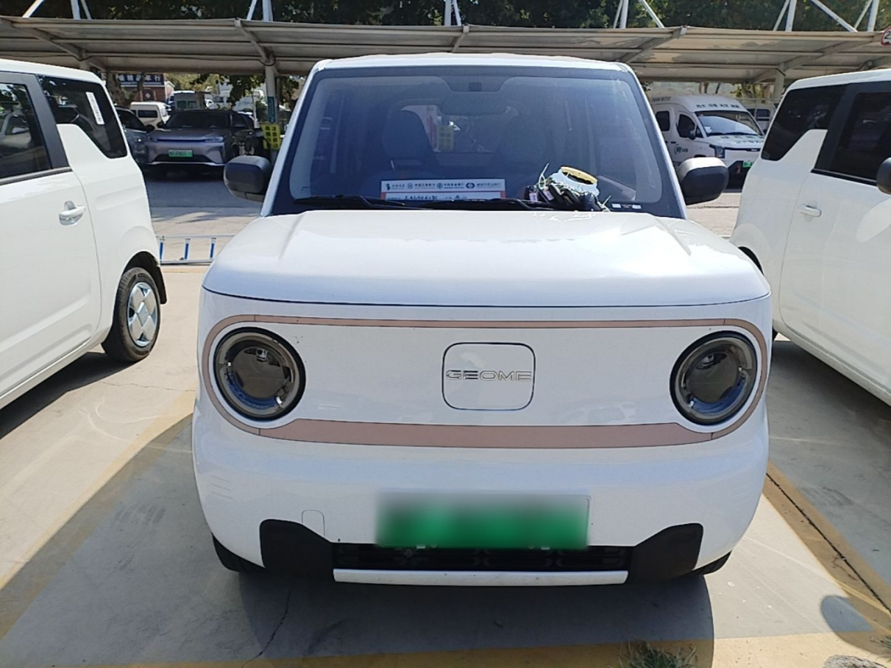 2023 Panda mini 200km Endurance Bear photo 2