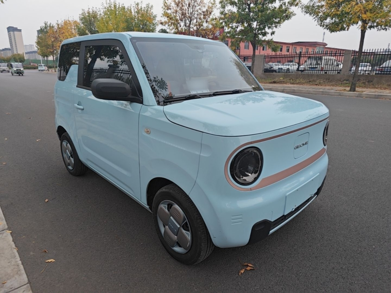 2023 Panda mini 200km Endurance Bear photo 3