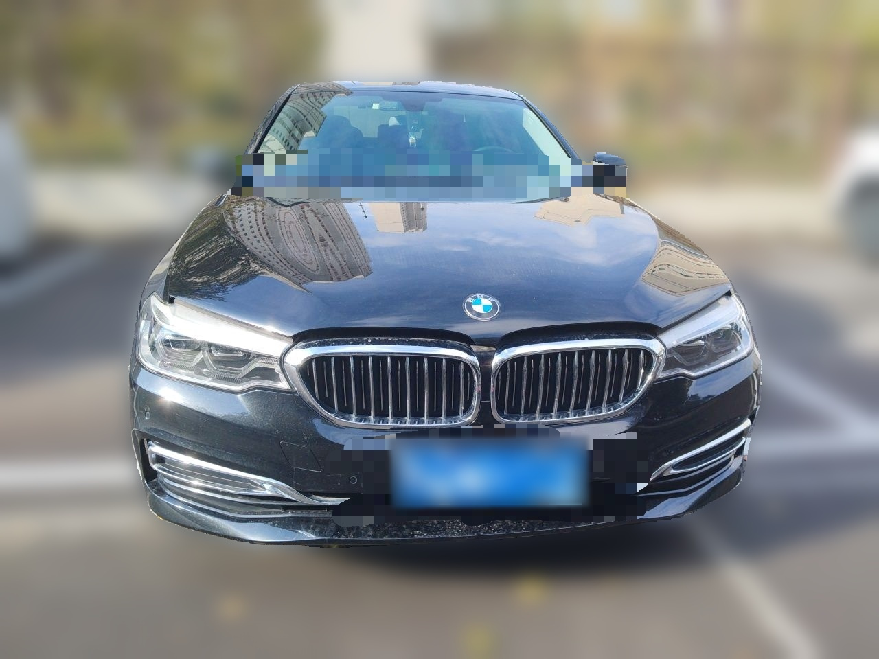 5 Series 2020 530Li Leading Luxury photo 2