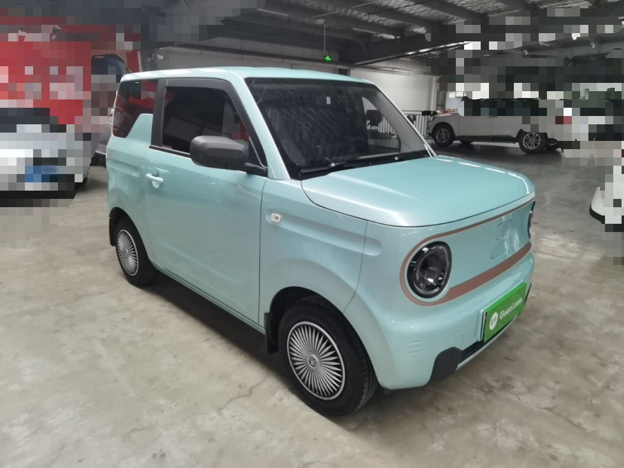 2024 Panda mini 200km Endurance Bear photo 3