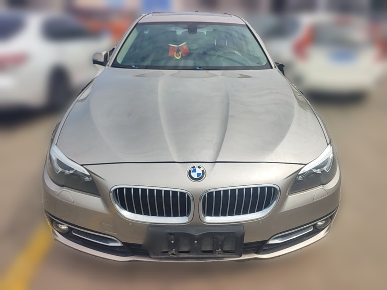 5 Series 2014 525Li Luxury Design Package photo 2