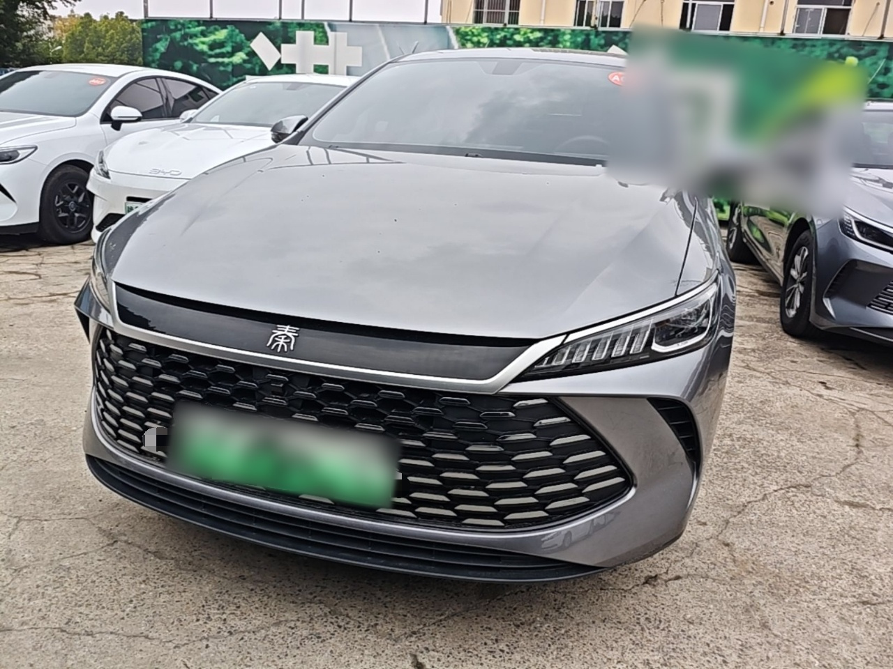 Qin PLUS 2025 DM-i ADAS 55KM Leading photo 2