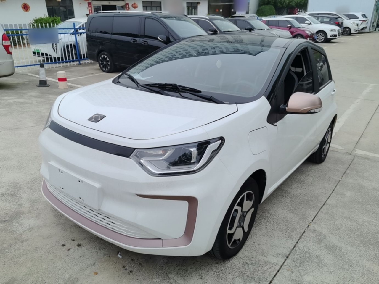Sehol Flower Fairy 2021 302km Luxury