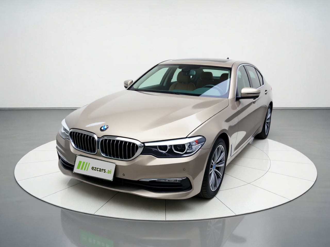 5 Series 2018 528Li Special