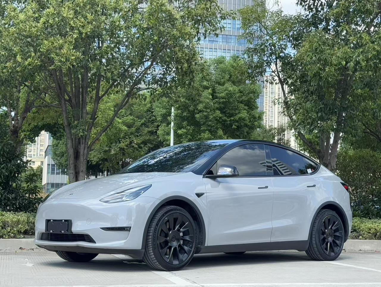 Model Y 2021 Standard Range RWD photo 3