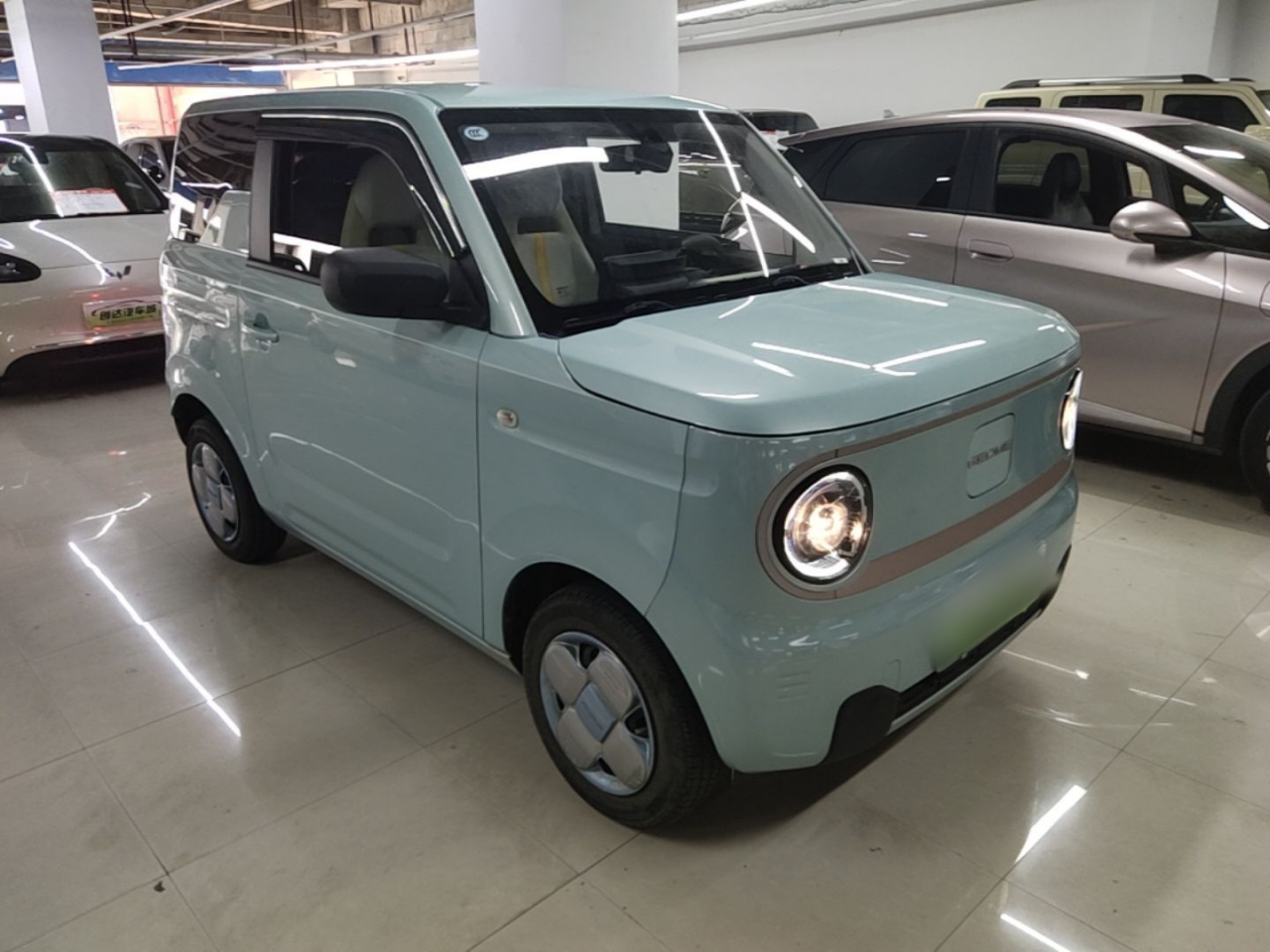 2024 Panda mini 200km Endurance Bear photo 5