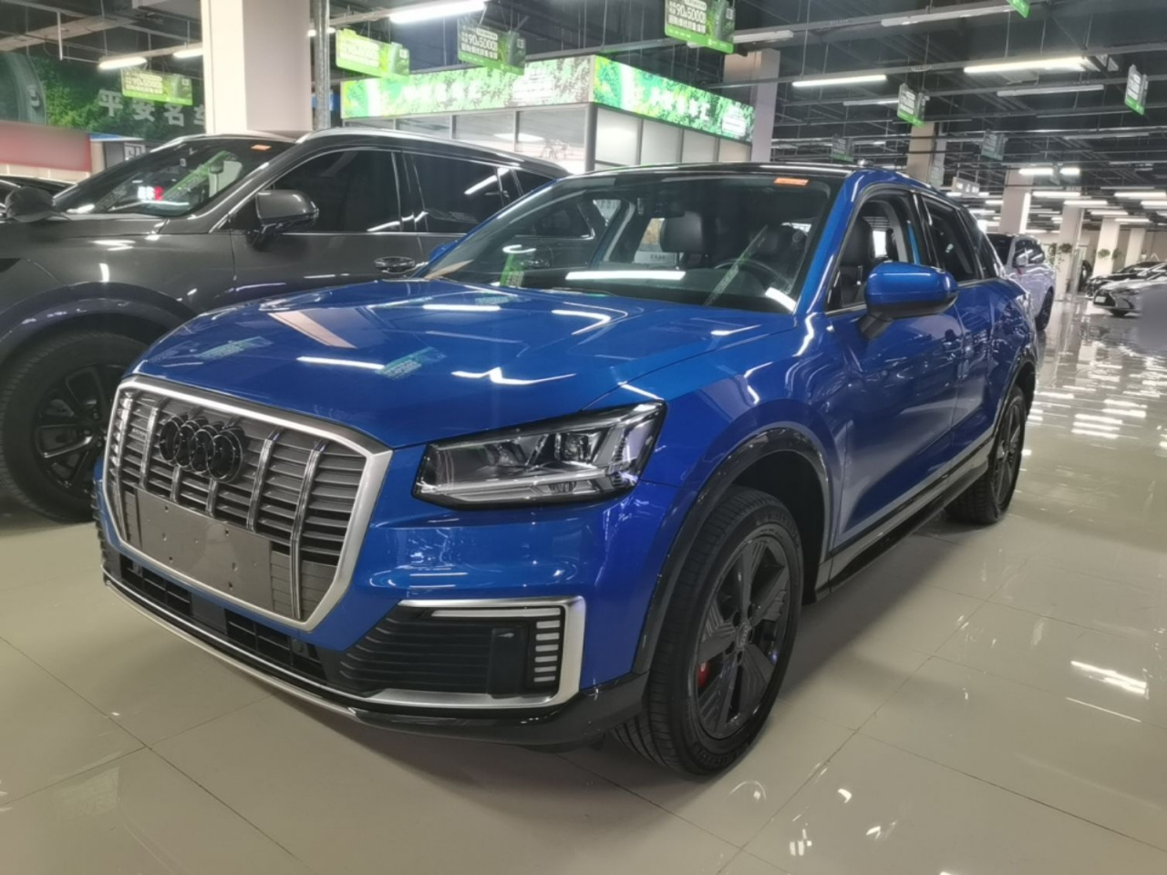 Q2L e-tron 2019 Q2L e-tron EV Smart