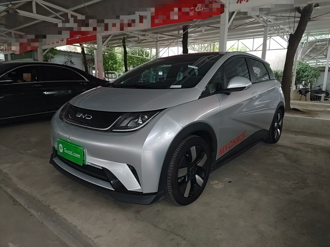 Dolphin 2023 401km