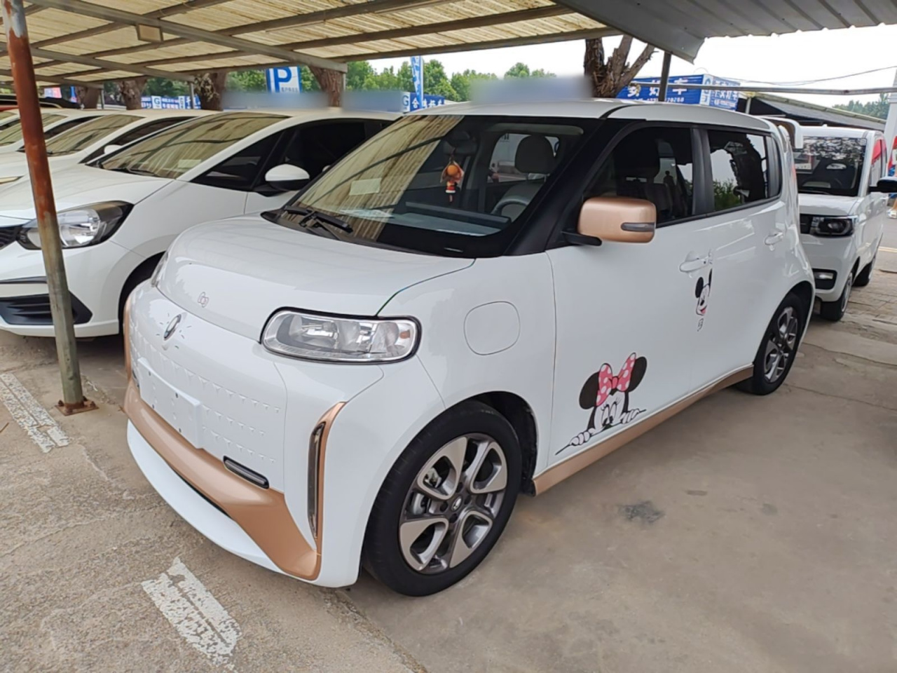2022 360km Luxury NCM