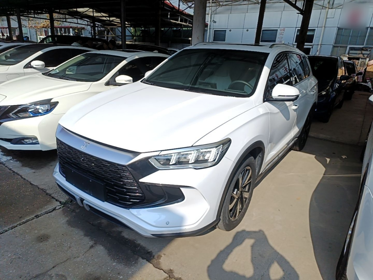 Song Pro EV 2023 Champion DM-i 71KM Leading