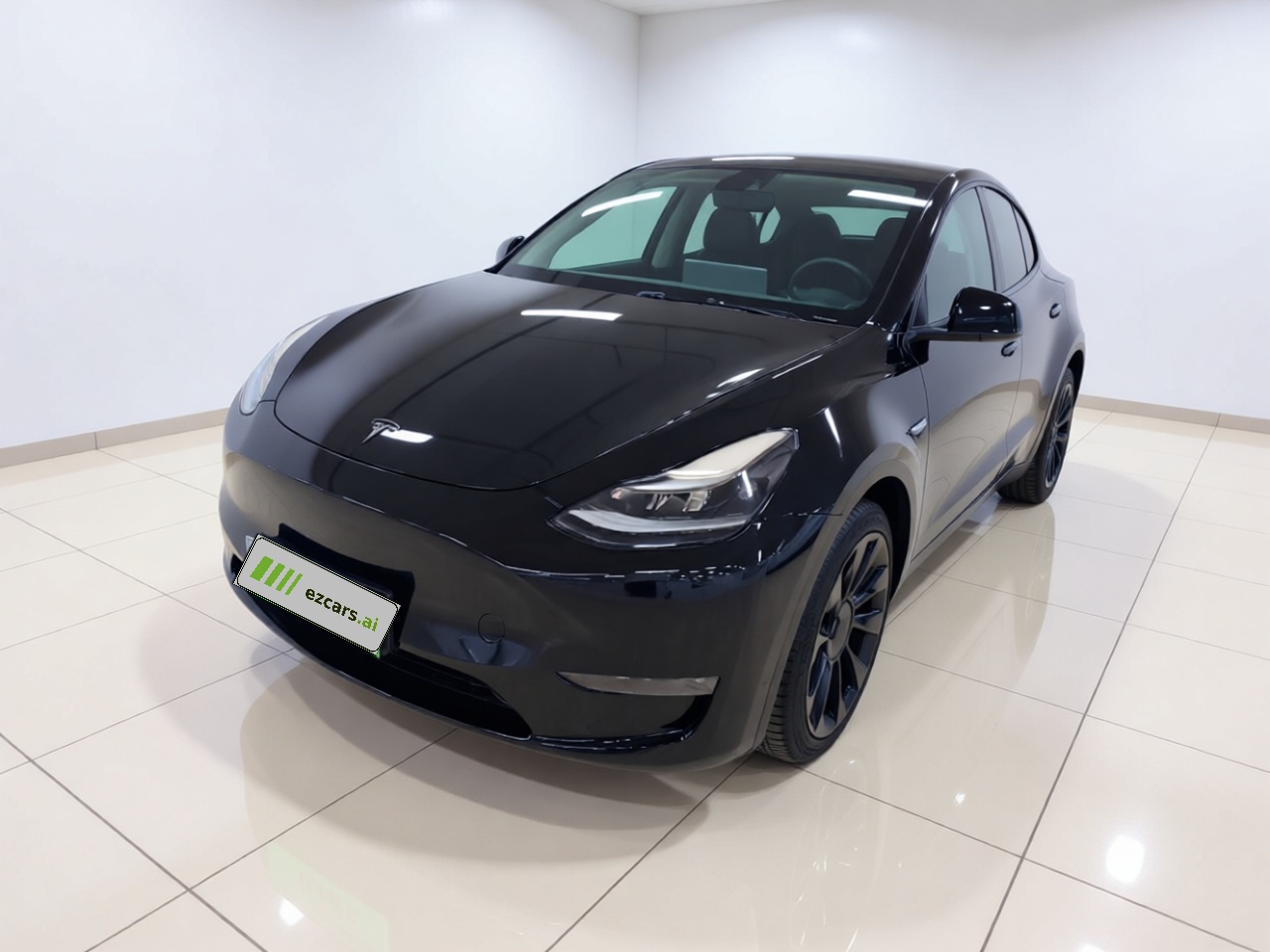 Model Y 2021 Standard Range RWD