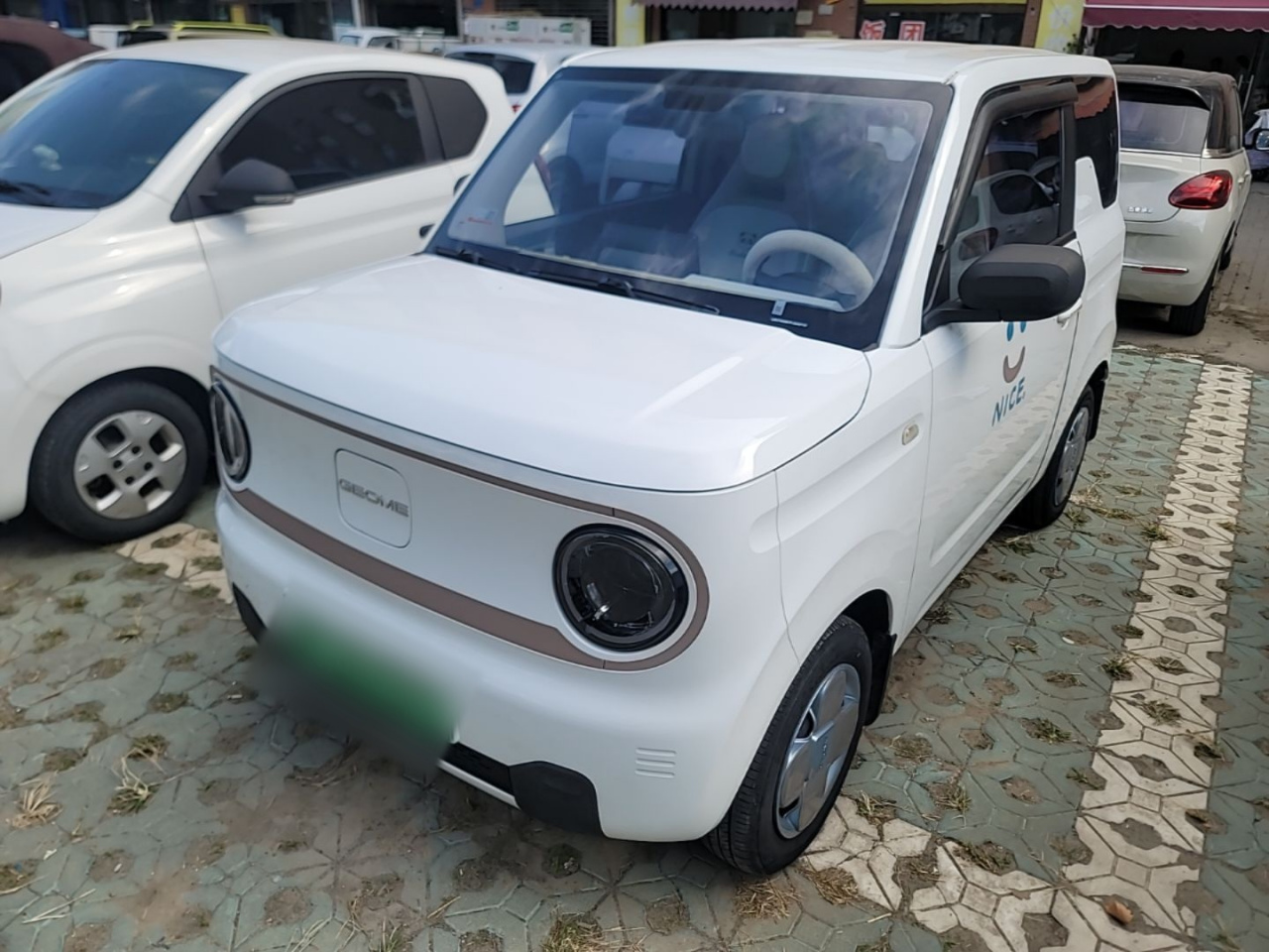 2023 Panda mini 200km Endurance Bear