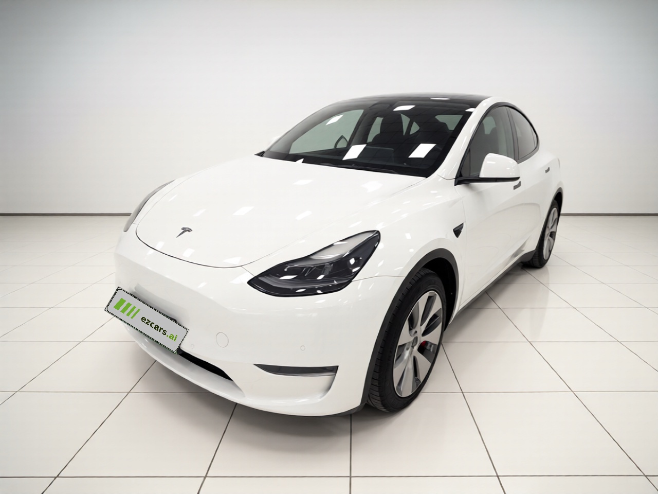 Model Y 2021 Standard Range RWD