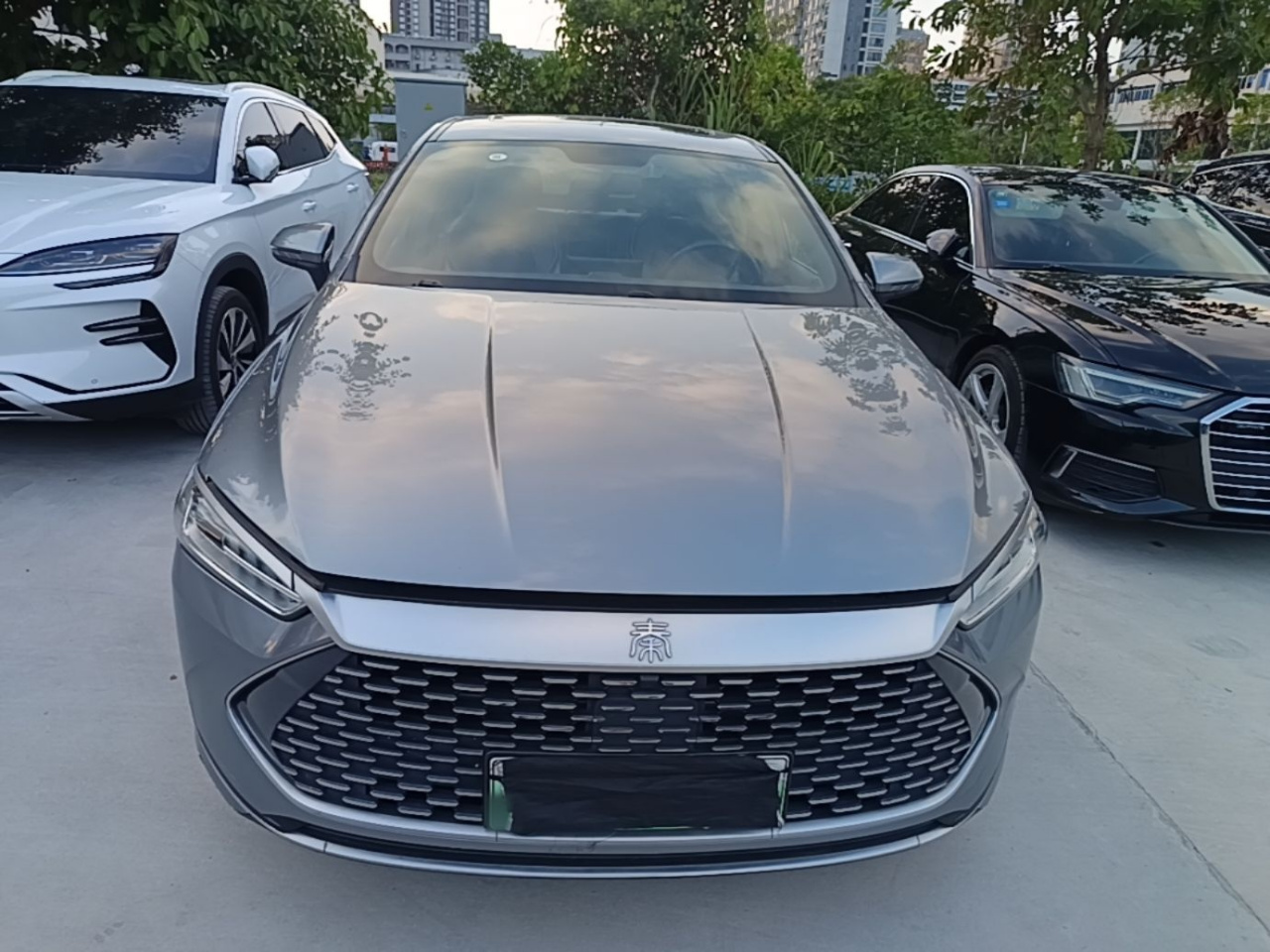 Qin PLUS 2021 DM-i 55KM Flagship photo 2