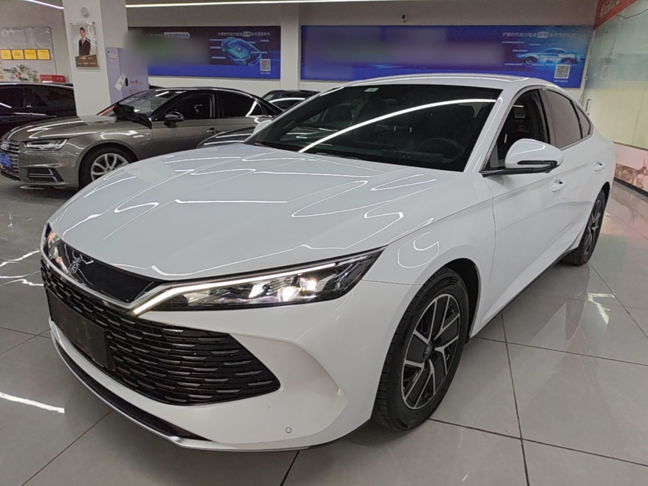 Qin L 2024 DM-i 80KM