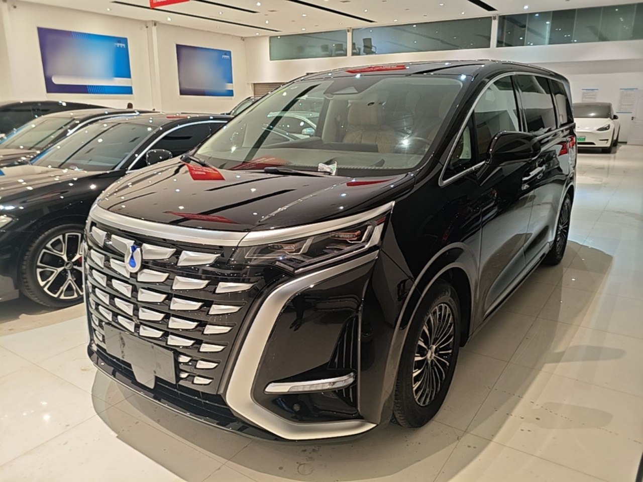 D9 2024 DM-i 980 AWD Noble
