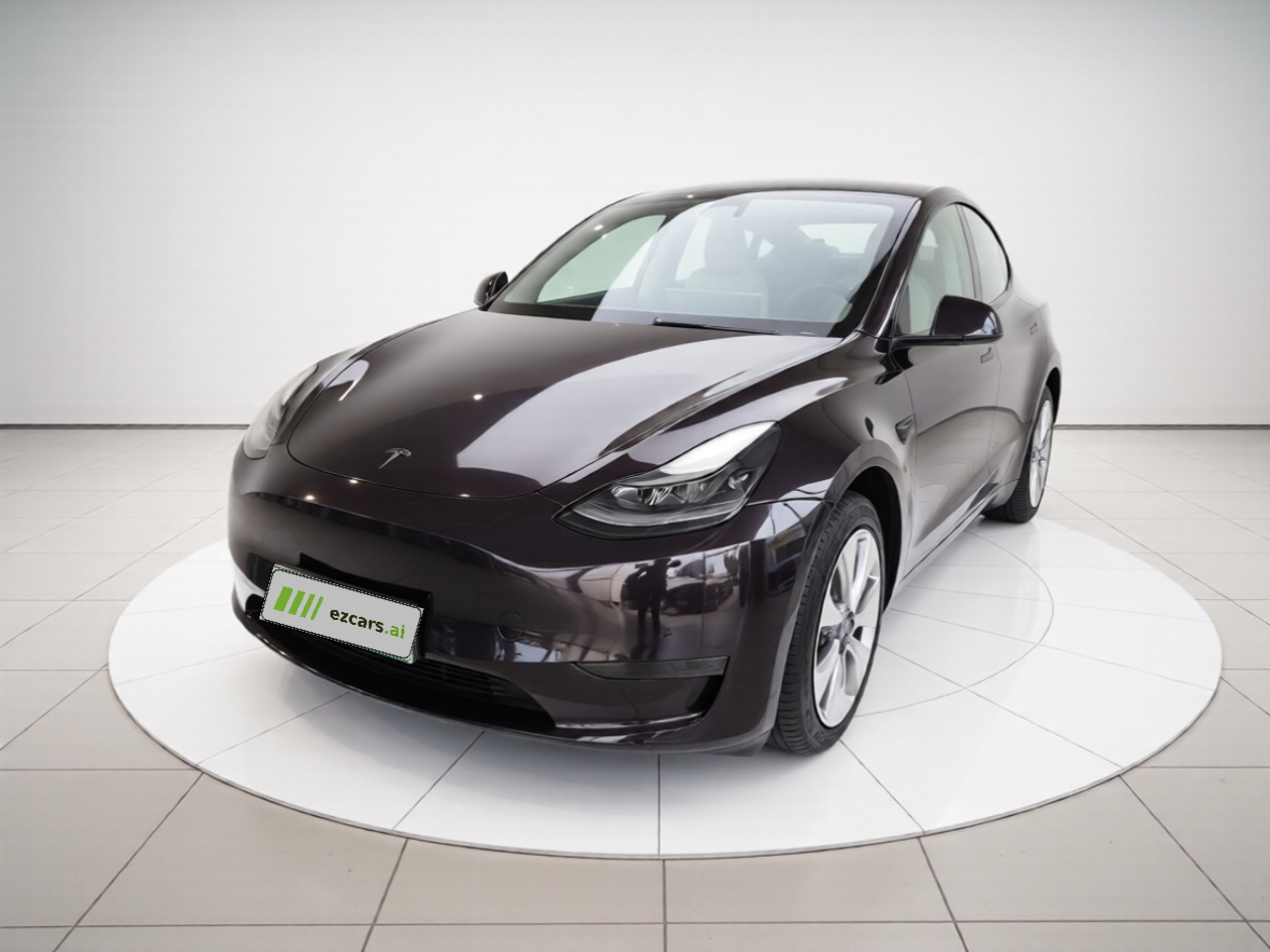 Model Y 2021 Standard Range RWD