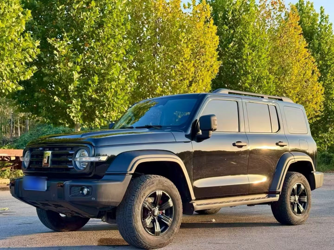 300 2023 Off-road 2.0T Conqueror photo 5