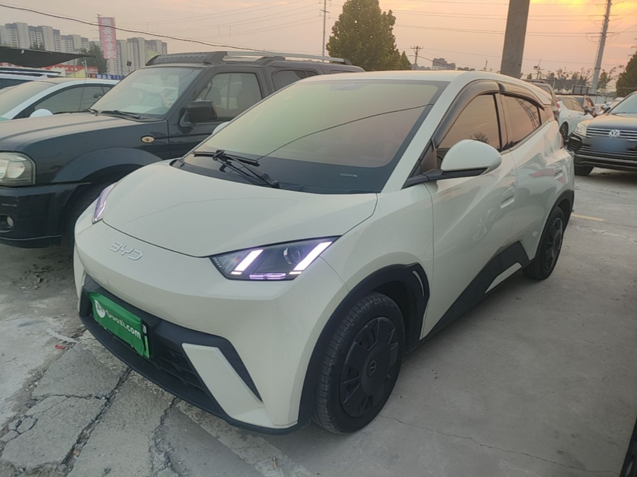 Seagull 2025 305km