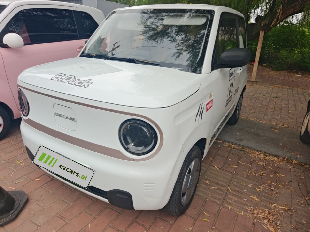 2024 Panda mini 200km Endurance Bear