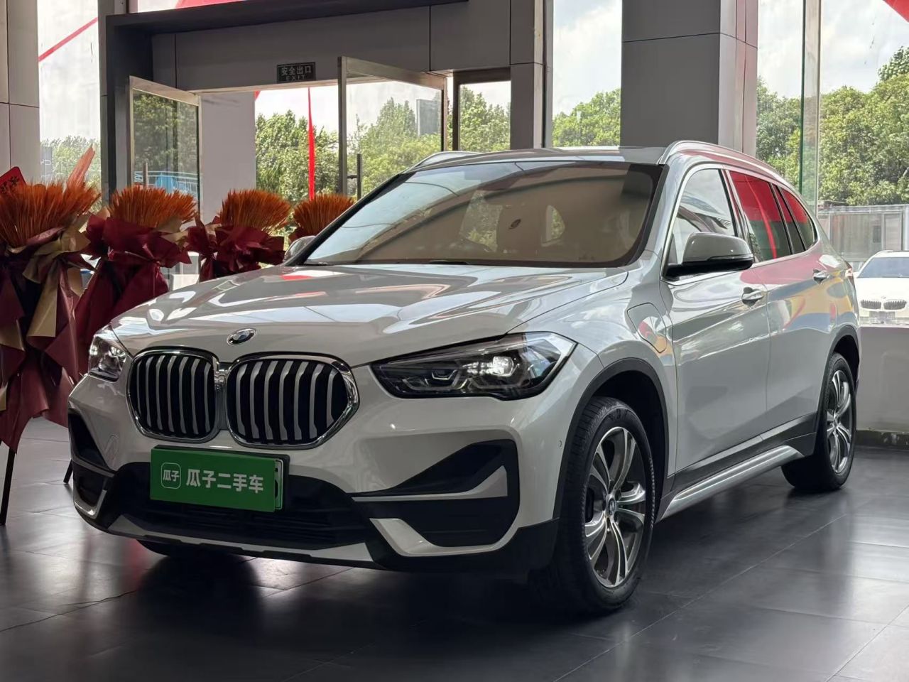 X1 EV 2020 xDrive30Le Exclusive
