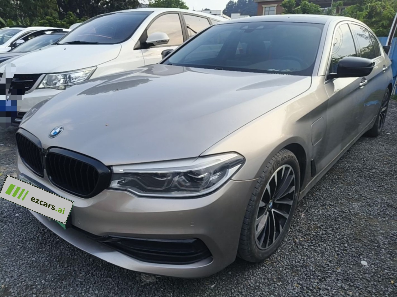 5 Series EV 2020 Upgraded 530Le Luxury