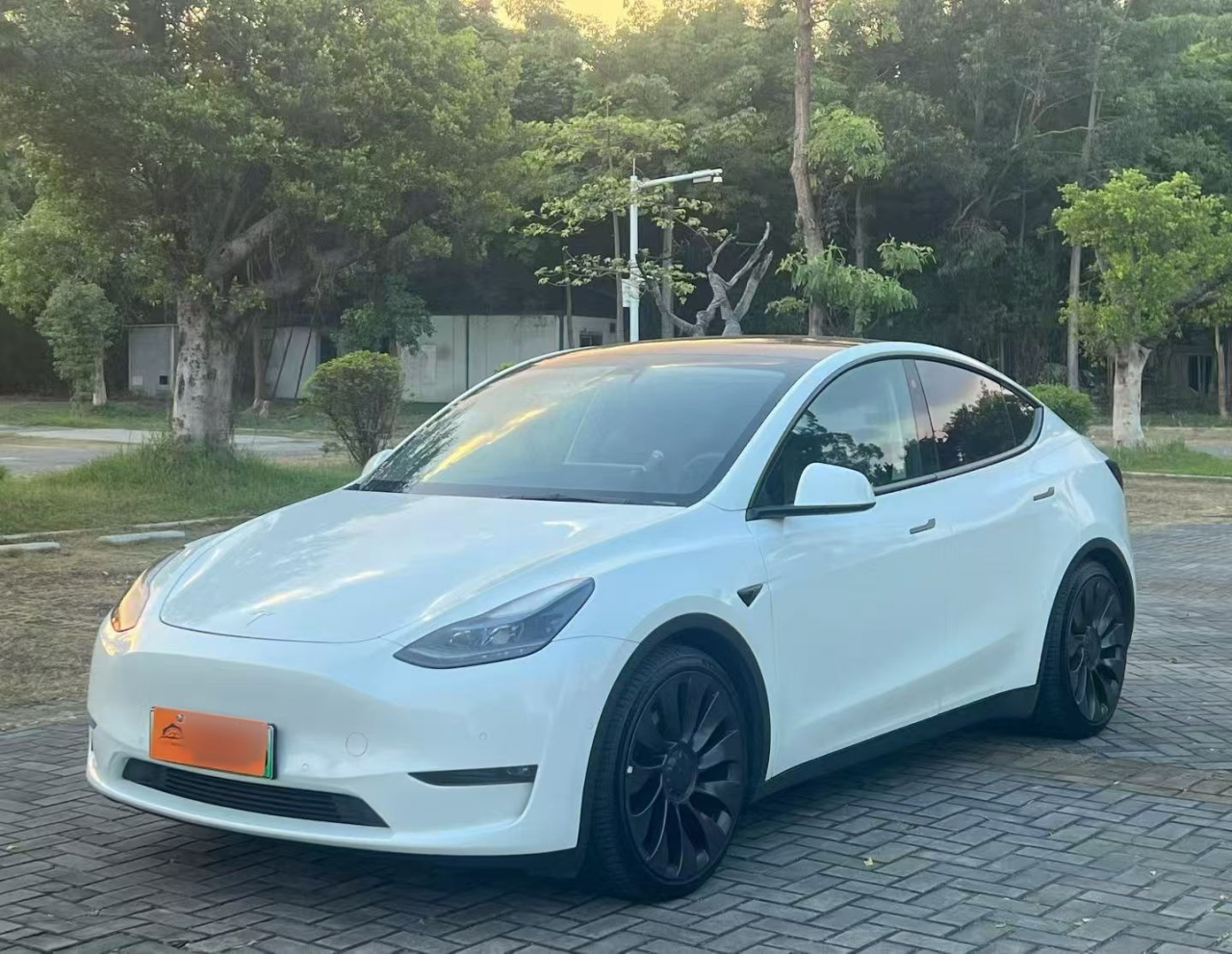 Model Y 2022 Performance AWD