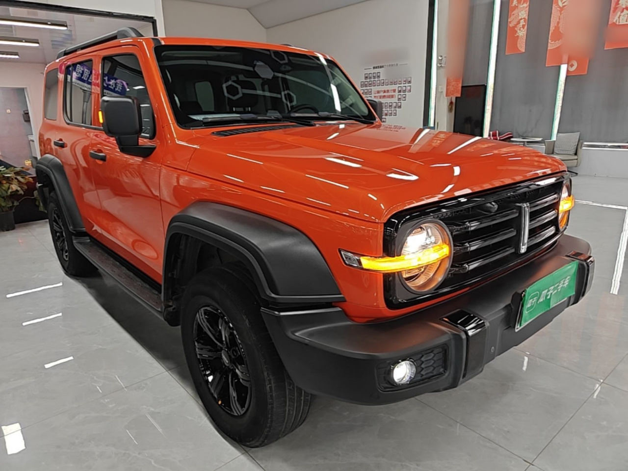 300 2021 Off-road 2.0T Conqueror photo 3
