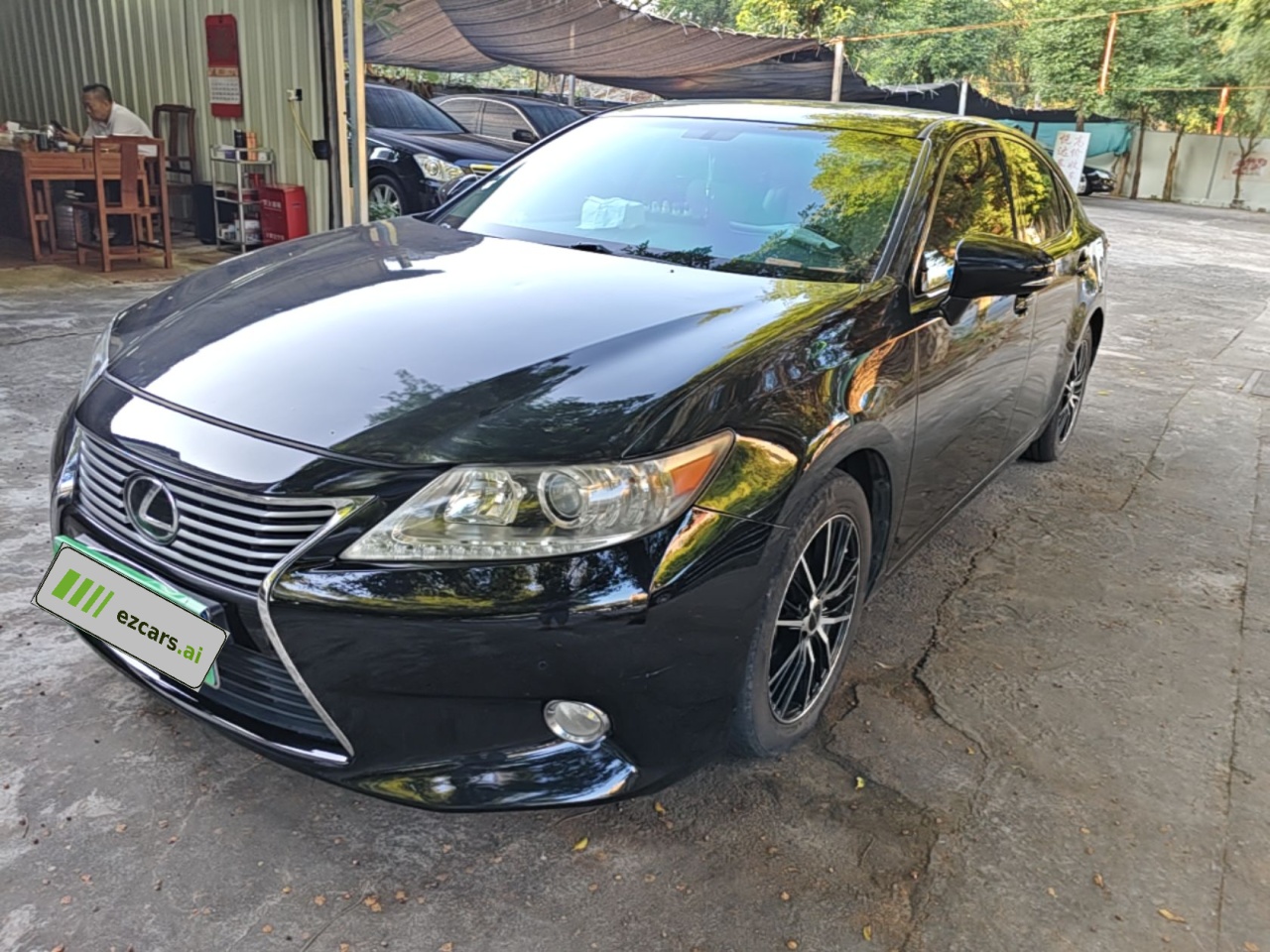ES 2013 250 Elite