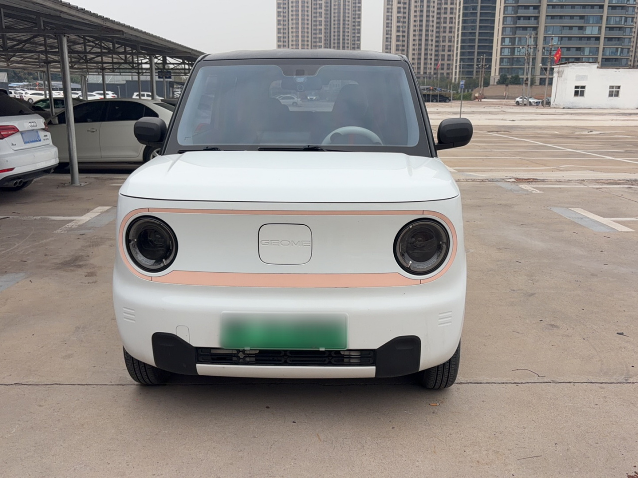 2023 Panda mini 200km Endurance Bear photo 3
