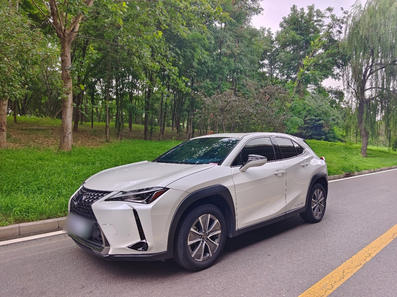 UX EV 2020 300e
