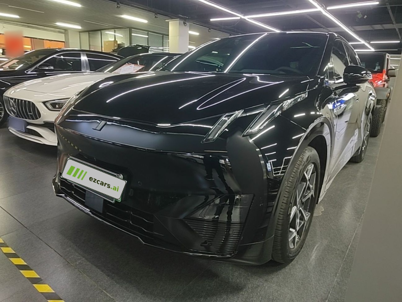 Z20 2025 530km RWD Max